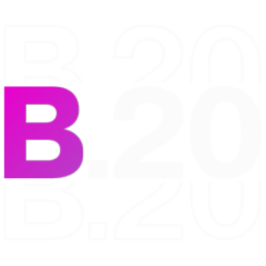 B20